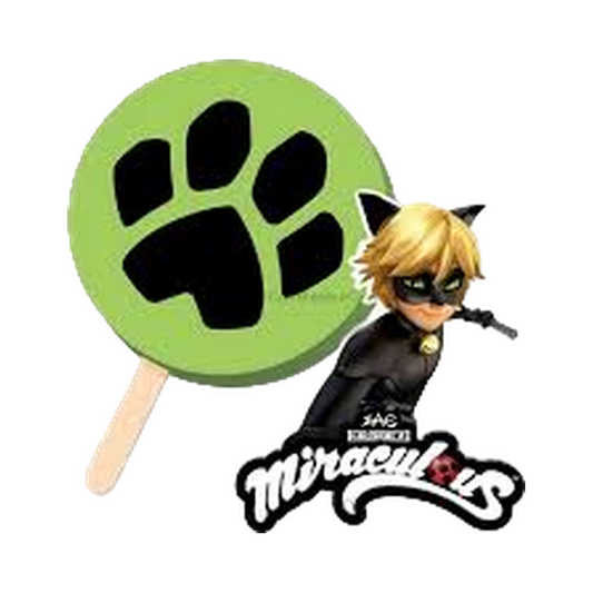 Miraculous Cat Noir Ice Cream